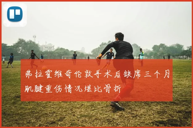 弗拉霍维奇伦敦手术后缺席三个月肌腱重伤情况堪比骨折